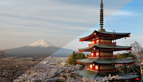 Red pagoda with snow-covered Mount Fuji in the distance across a landscape of blooming cherry trees.