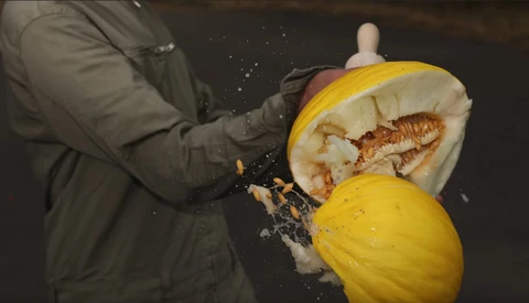 Person in winter coat splitting open a yellow melon to reveal a cooked lobster inside against a dark background.