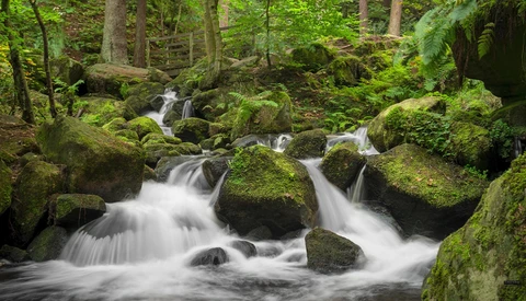 Forest stream cascading over moss-covered boulders with long exposure blur effect.