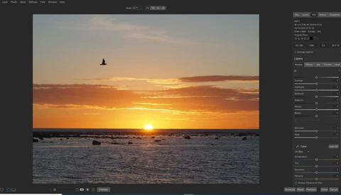 Golden sunset over ocean horizon with a bird in flight and rocky coastline in foreground.