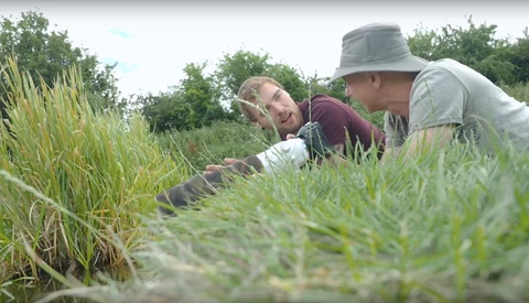 Two people crouched low in a grassy field examining vegetation up close.