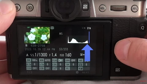 Camera LCD screen displaying histogram and exposure settings for a macro photograph of white flowers.