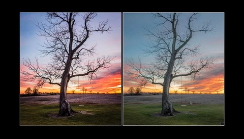 Dead tree silhouetted against a dramatic sunset sky with orange and red clouds.