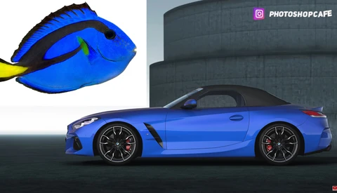 Composite graphic comparing a blue fish to a blue sports car in profile view.