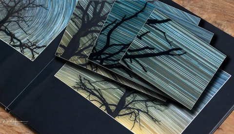 Contact sheets and prints with tree branch silhouettes arranged on black paper and wooden surface.