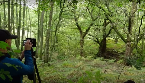 Photographer with camera on tripod capturing forest landscape with tall trees and dappled light.