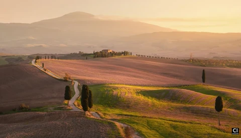 Rolling Tuscan hills at golden hour with cypress trees, plowed fields, and a winding road under soft light.