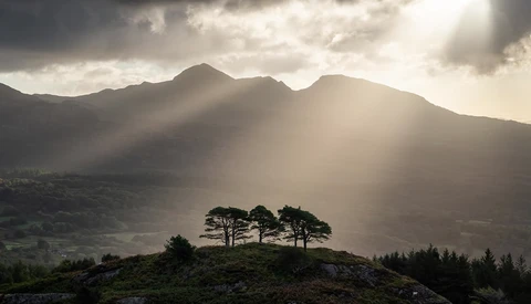 Silhouetted trees on a hilltop with dramatic god rays from stormy sky and mountains in background.