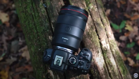 Canon mirrorless camera with telephoto lens mounted on a moss-covered tree trunk.