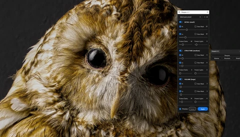 Close-up portrait of a tawny owl's head against a dark background with editing software visible.