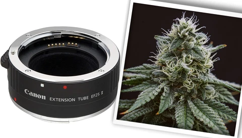 Canon EF25 II extension tube next to a macro photograph of a flowering cannabis plant.