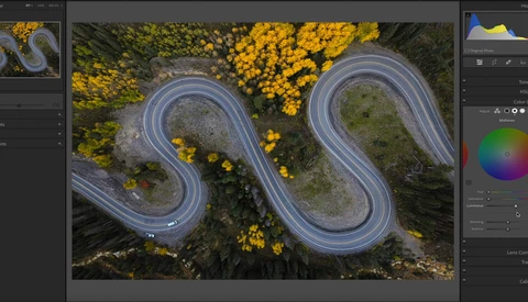 Aerial view of a winding road through a forest with yellow flowering trees and grassy clearings.