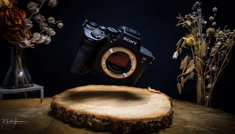 Sony mirrorless camera body suspended above a wooden slice, surrounded by dried flowers on dark background.