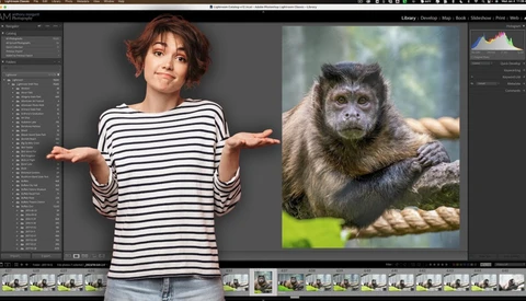Screenshot of photo editing software displaying portrait and wildlife image side-by-side during post-processing.