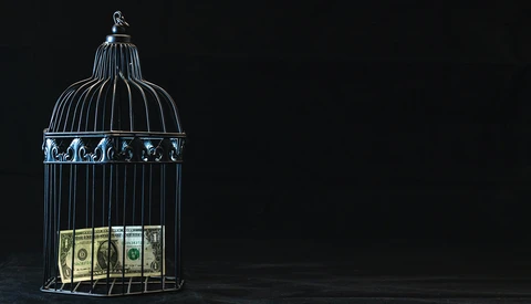 Decorative birdcage with dollar bills visible inside against a black background.