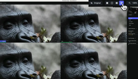 Close-up of a chimpanzee's face with detailed texture and expression, shown in a four-panel comparison grid.