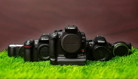 Collection of DSLR cameras arranged on bright green grass against a burgundy background.