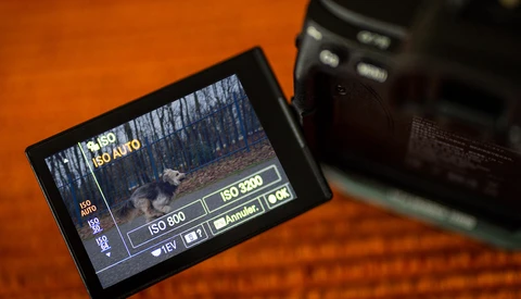Camera LCD screen displaying exposure settings including ISO 3200, shutter speed, and aperture information during daylight shooting.