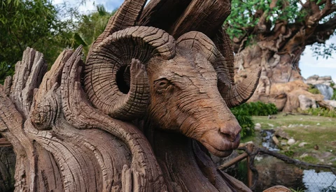 Wooden carved goat head sculpture with curved horns and detailed facial features in natural lighting.