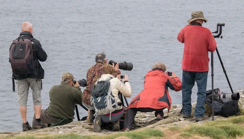 Group of photographers and birdwatchers with telephoto lenses and tripods positioned on rocky shoreline overlooking water.