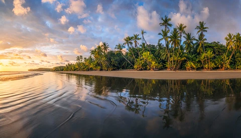 Tropical beach at golden hour with palm trees reflected in wet sand and calm water.