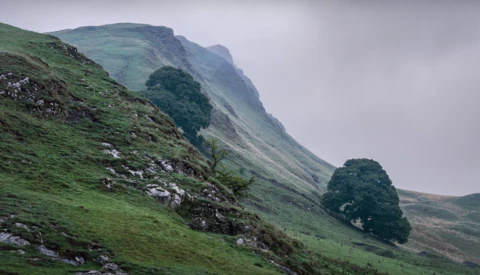 Rolling green hillside with exposed rock outcrops and two solitary trees beneath overcast sky.