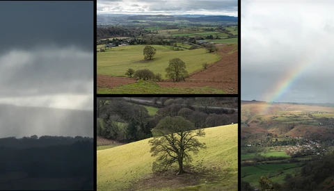 Collage of rural British countryside scenes with rolling hills, scattered trees, and dramatic cloud formations.