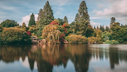 Lakeside landscape with autumn trees mirrored in still water and evergreen conifers in background.
