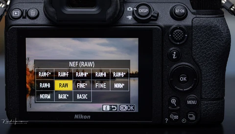 Screenshot of Nikon camera RAW file format menu showing recording quality options in NEF format.