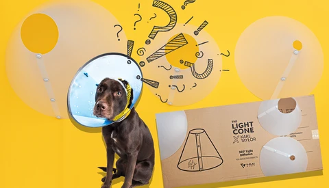 Chocolate-colored dog wearing a cone collar with question marks and thought bubbles illustrating confusion around the product.