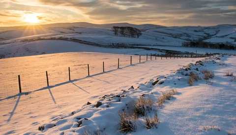 Wooden fence line crossing snow-covered hillside at golden hour with distant forested ridge and mountains.