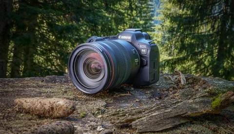 DSLR camera with zoom lens positioned on a weathered log in a sunlit forest setting.