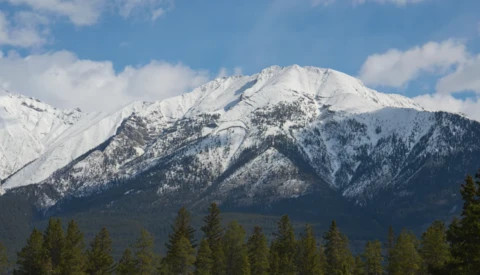 Snow-capped mountain peak with forested slopes under blue sky with white clouds.