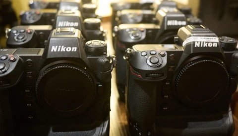 Collection of Nikon DSLR camera bodies arranged in rows, displaying the top and front of multiple black camera units.