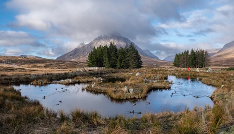 Snow-capped mountain rising above a boggy wetland with scattered ponds and evergreen trees under partly cloudy sky.