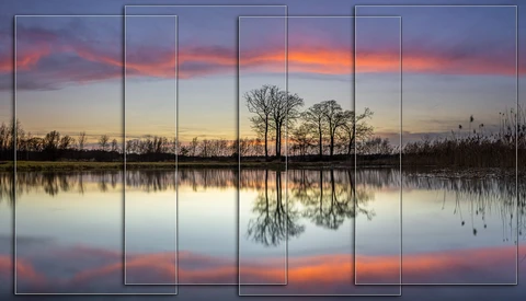 Wetland landscape at sunrise with bare trees reflected in still water, divided into six vertical panels.