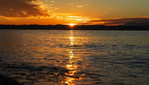 Golden sunset reflecting across calm water with silhouetted treeline on horizon.