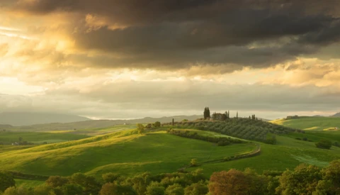 Rolling Tuscan hills with golden wheat fields, cypress trees, and dramatic storm clouds at sunset.