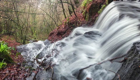 Forest stream cascading over moss-covered rocks with long exposure motion blur effect.