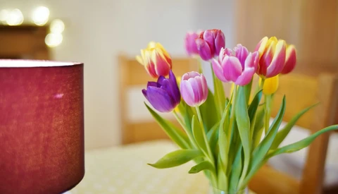 Bouquet of pink, purple, and yellow tulips with green stems in a vase alongside a red cylindrical candle.