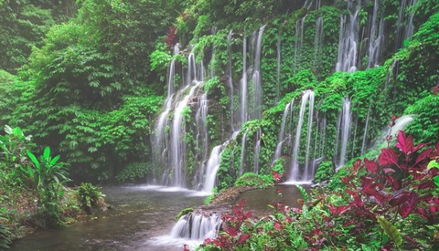 Lush tropical waterfall with multiple cascades flowing into a dark pool, surrounded by dense green foliage and vibrant red flowering plants.