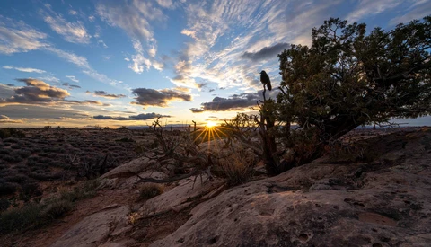 Desert landscape at sunset with rocky terrain, sparse vegetation, and dramatic clouds illuminated by golden light.