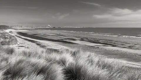 Coastal beach landscape with marram grass dunes in foreground and distant sea horizon under overcast sky.
