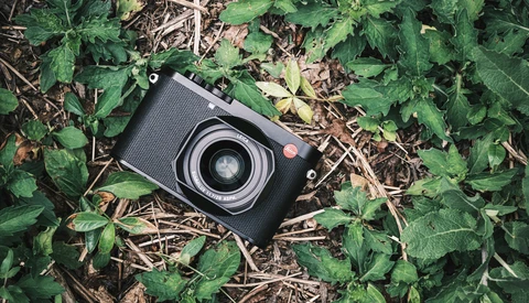 Black rangefinder camera with textured grip resting on forest floor surrounded by green foliage and brown leaf litter.