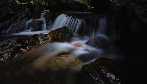 Flowing stream with moss-covered rocks and long exposure blur creating smooth water movement.