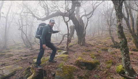 Hiker navigating rocky, moss-covered forest floor in heavy fog among bare deciduous trees.