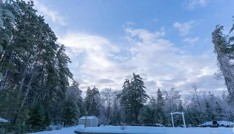 Snow-covered park clearing with coniferous trees and structures under partly cloudy winter sky.