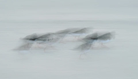 Two cyclists riding on snow in motion blur, captured with panning technique.