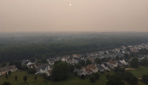 Suburban neighborhood nestled against dense forest under hazy, overcast sky.