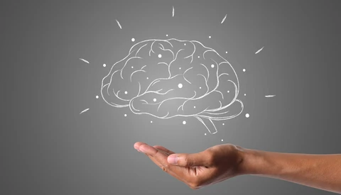 Illustration of a brain rendered in white outline floating above an open palm against a gray background.
